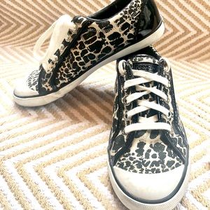 COACH sneaker